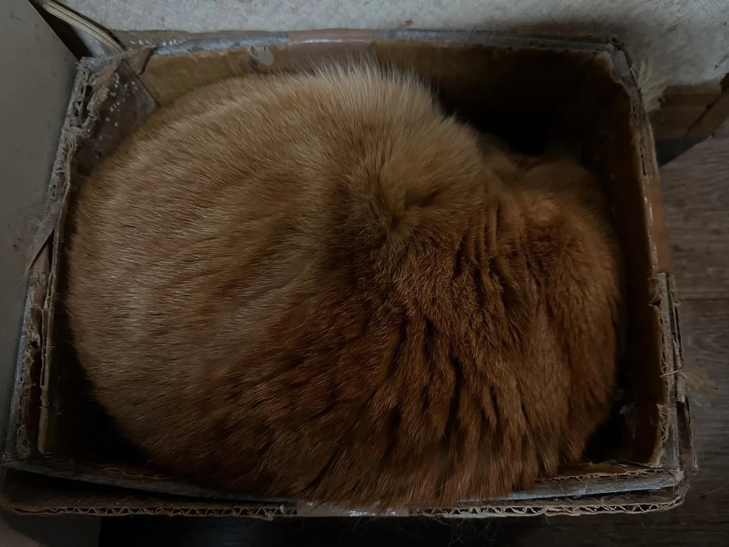 よく焼いたパンというか卵焼きというか伊達巻きというか…なにや...