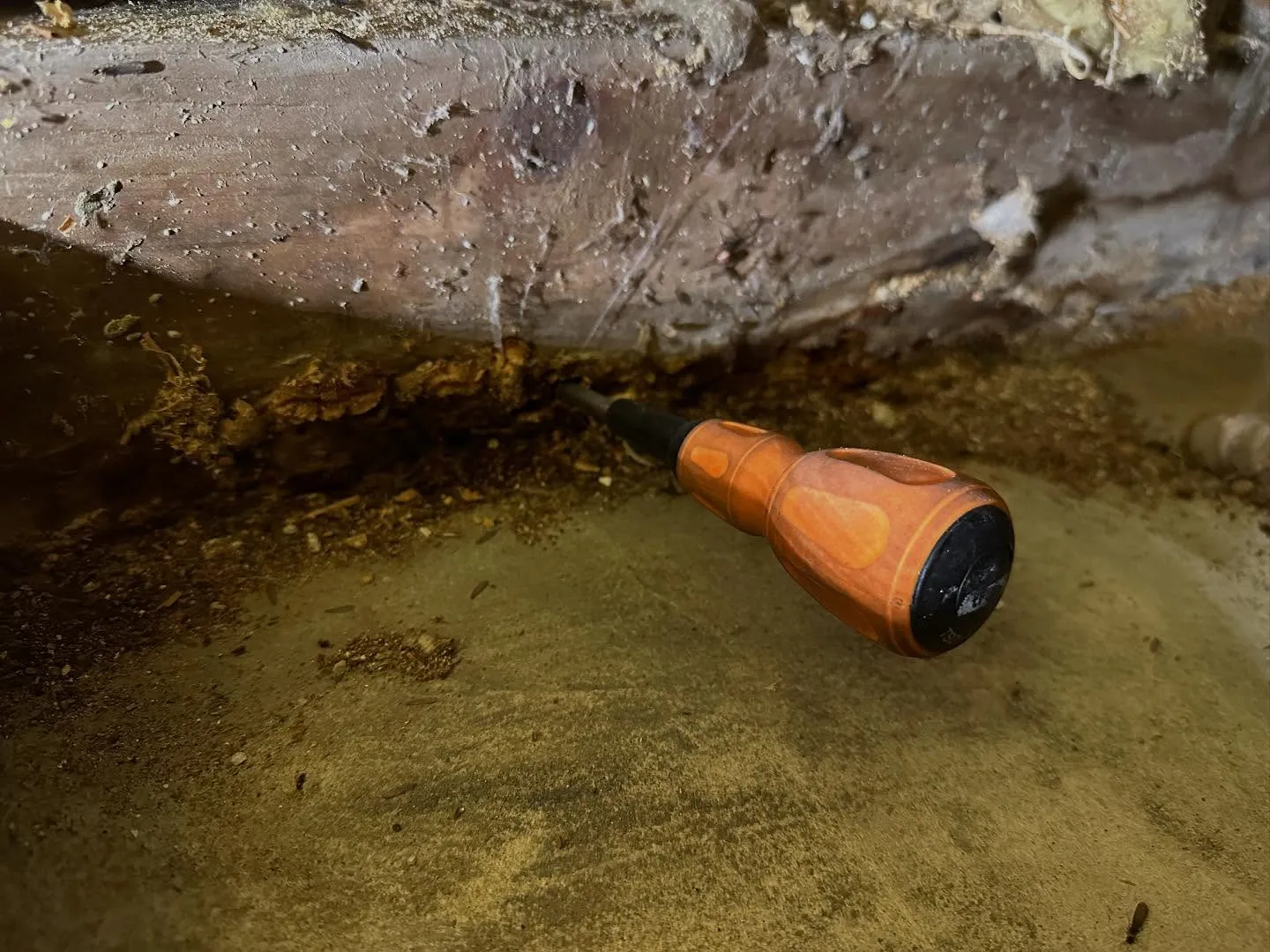 ※閲覧注意（かもしれません）