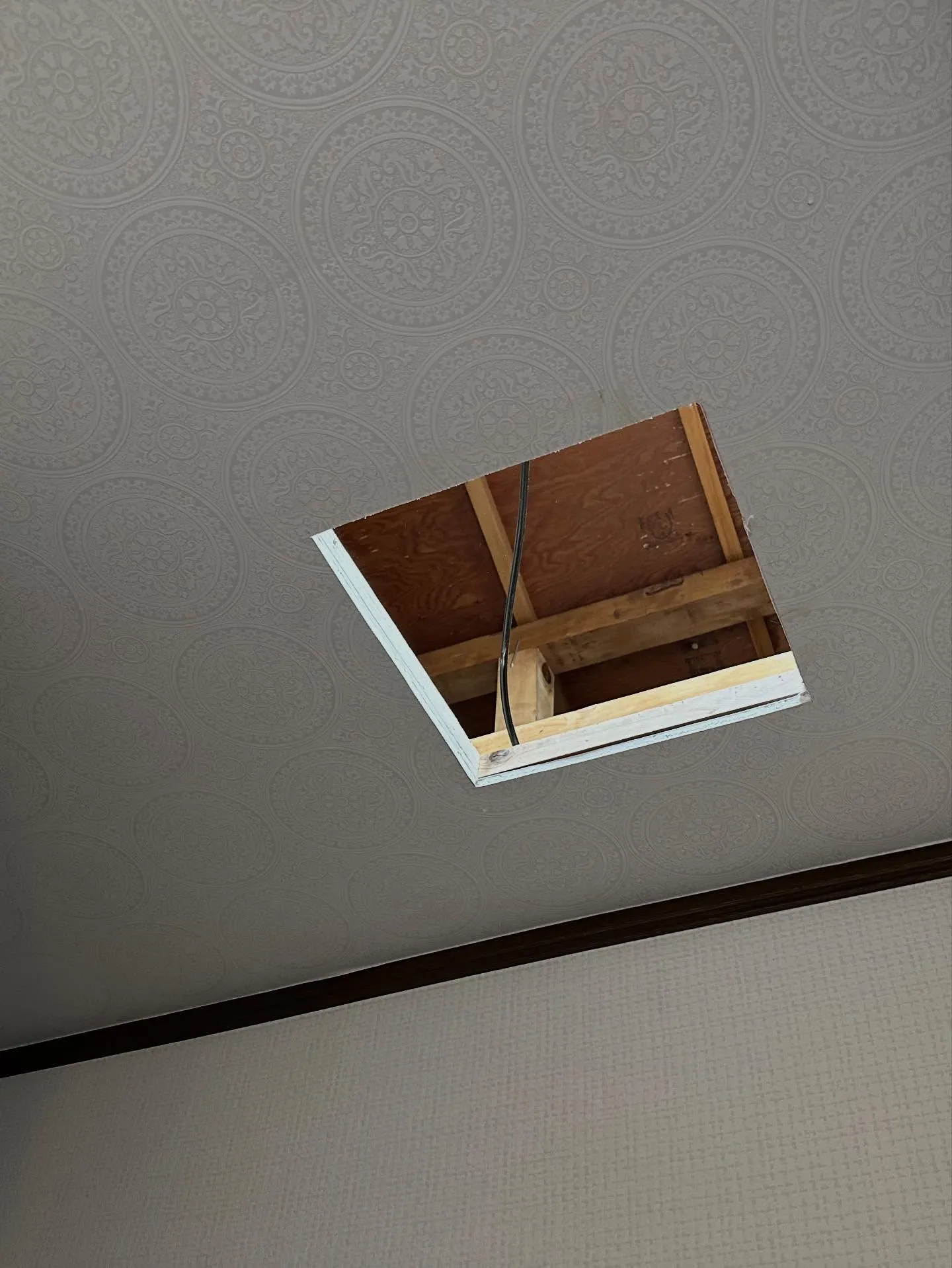 今週始めのお仕事。