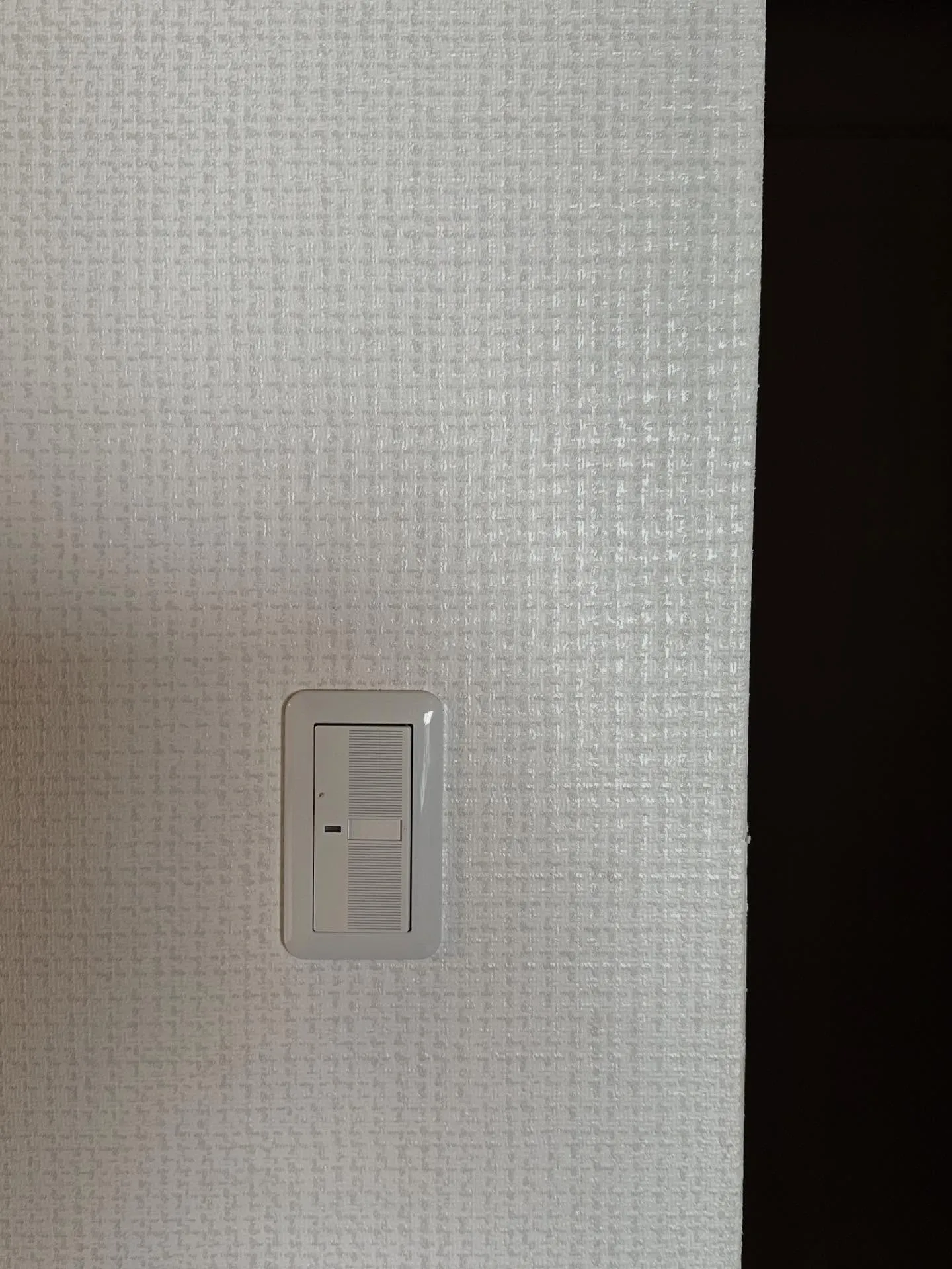 今週始めのお仕事。