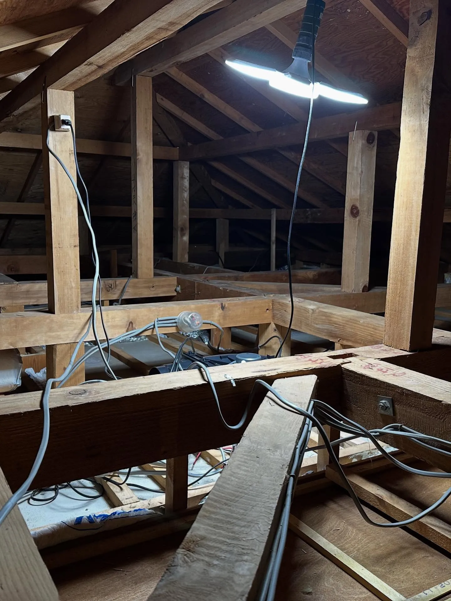 今週始めのお仕事。