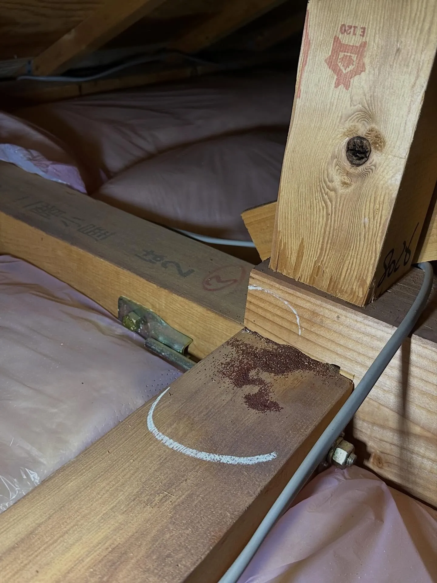 一昨日、昨日と横浜市I区はA様邸の小屋裏でアメリカカンザイシ...