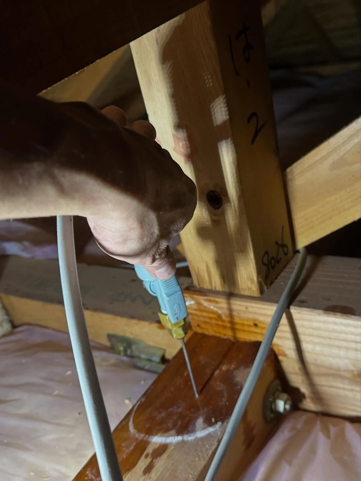 一昨日、昨日と横浜市I区はA様邸の小屋裏でアメリカカンザイシ...