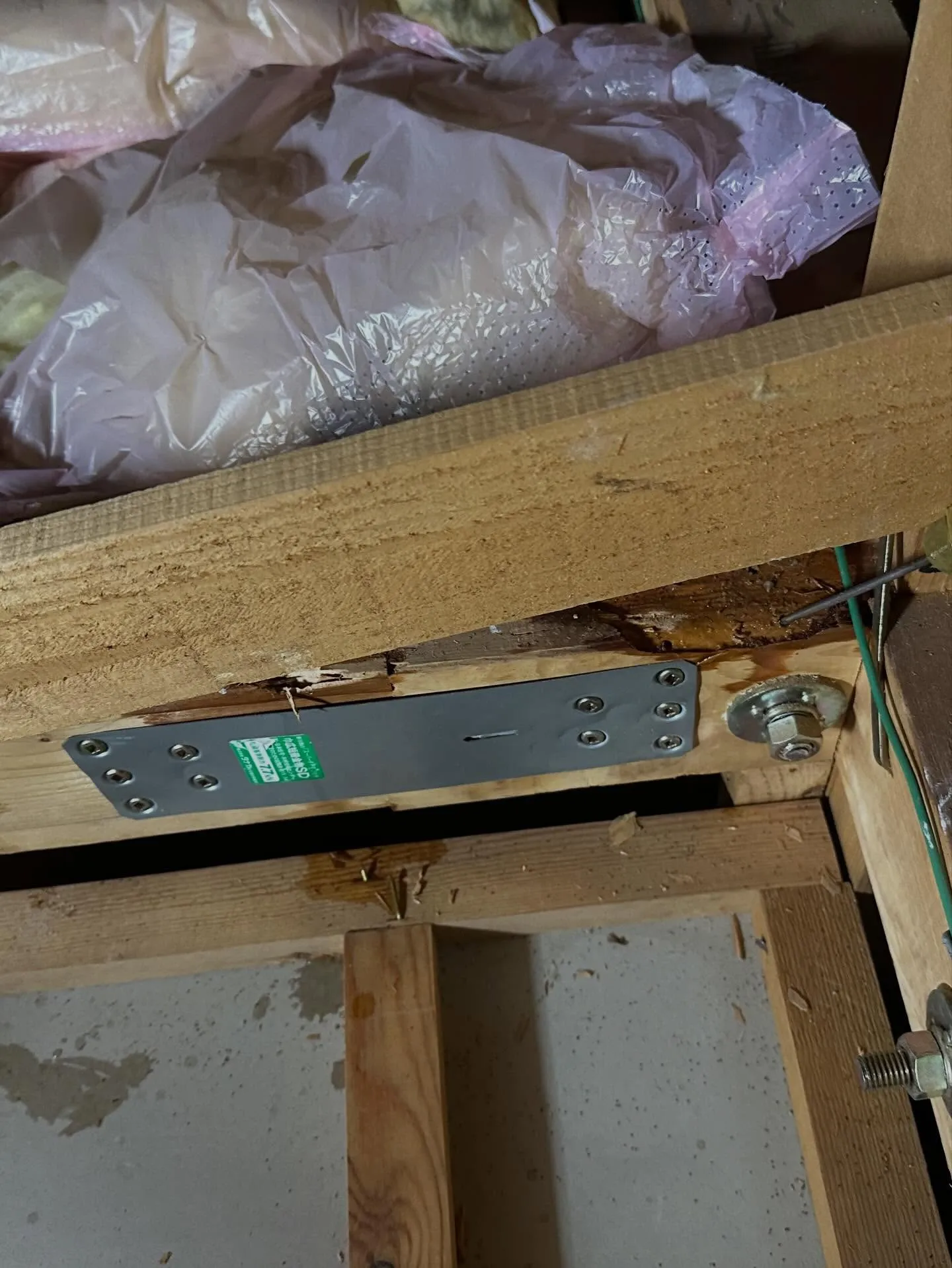 一昨日、昨日と横浜市I区はA様邸の小屋裏でアメリカカンザイシ...