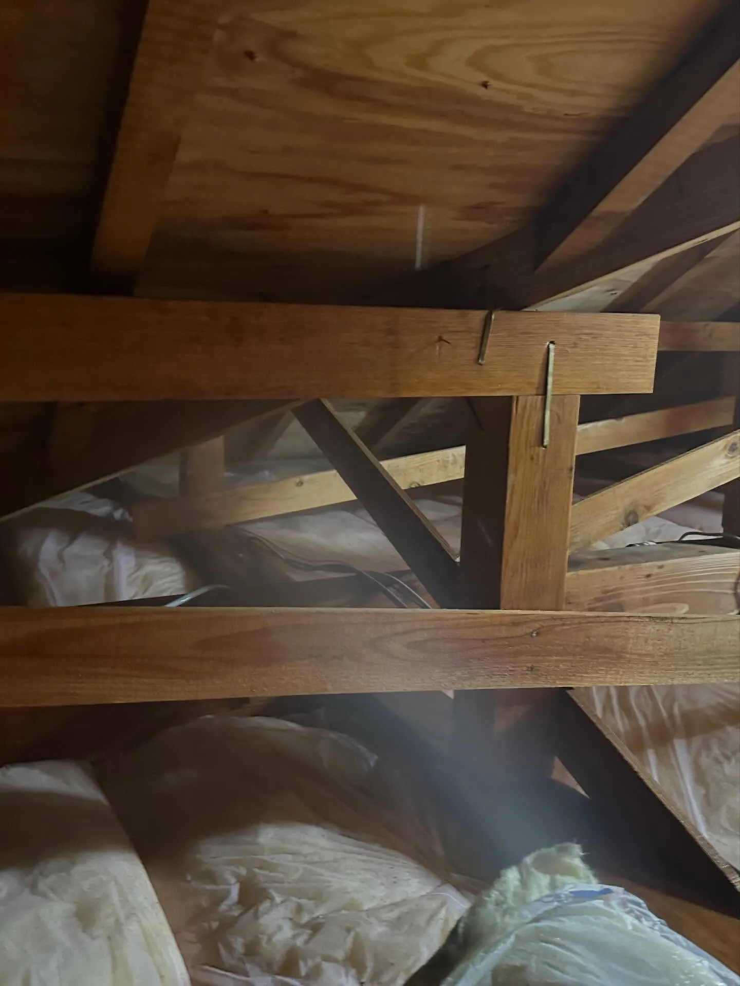 一昨日、昨日と横浜市I区はA様邸の小屋裏でアメリカカンザイシ...