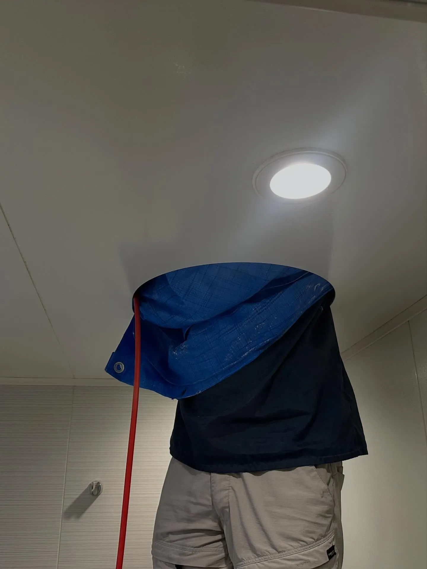 一昨日、昨日と横浜市I区はA様邸の小屋裏でアメリカカンザイシ...