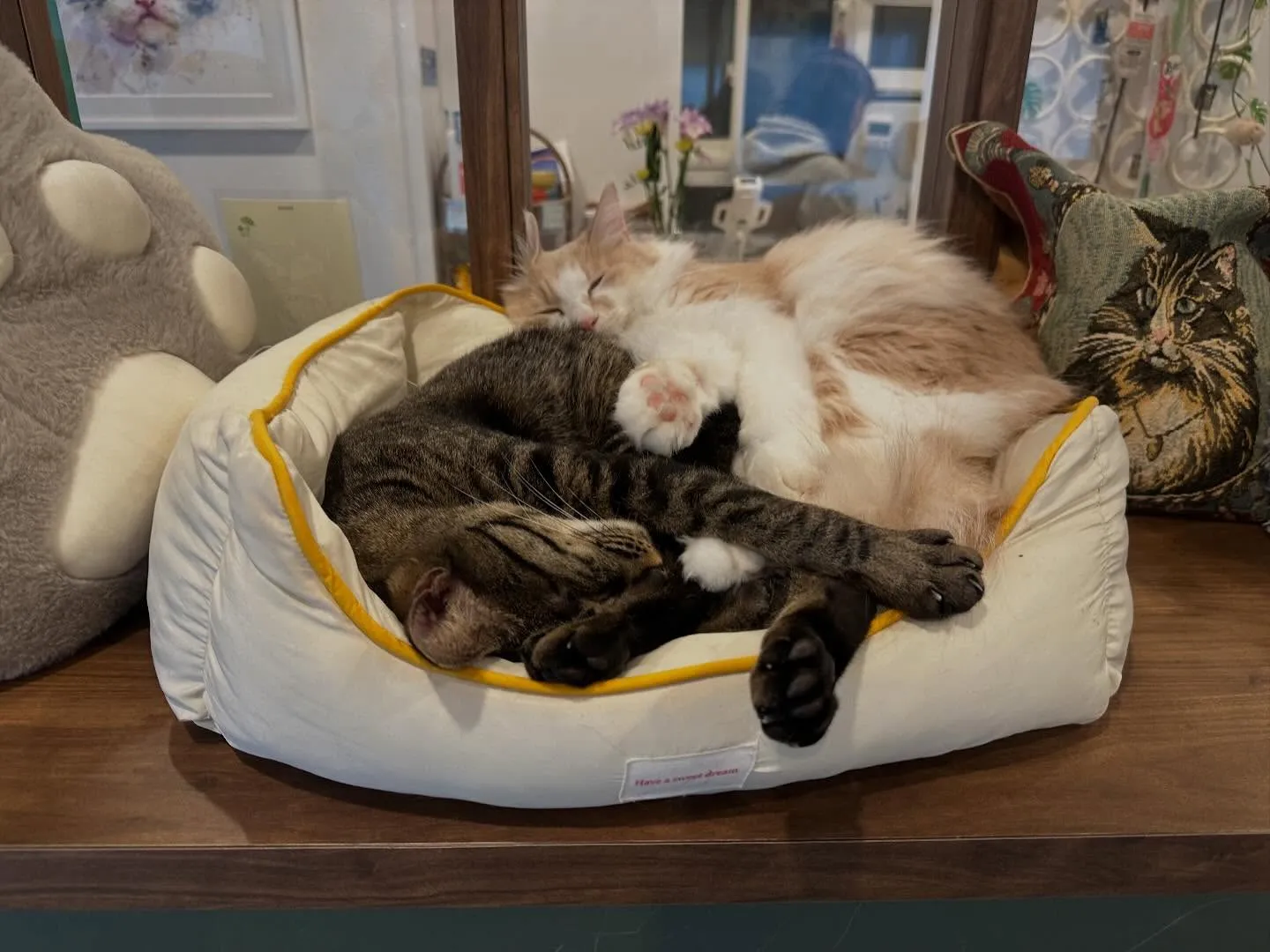 でーひょー（代表）のYおです。