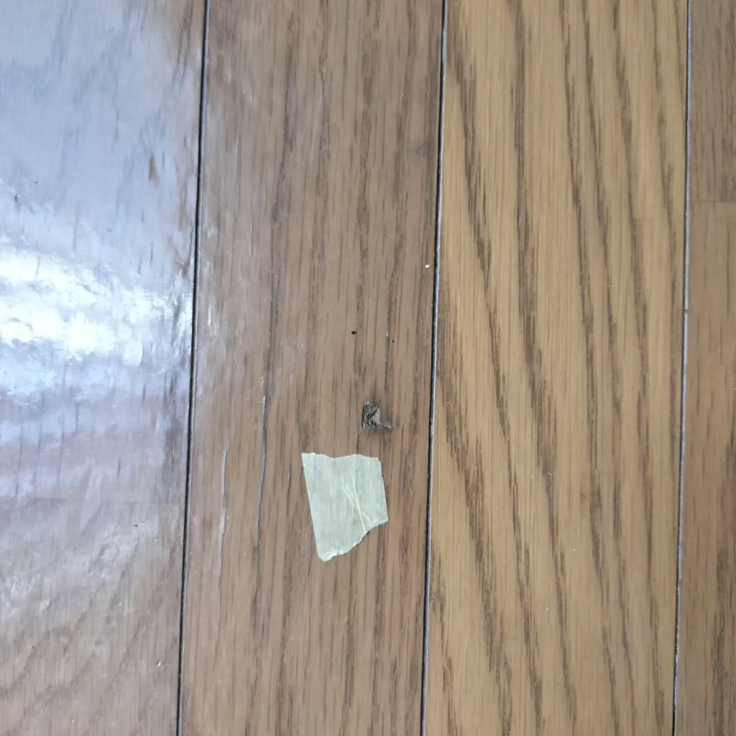 今週の事例です。